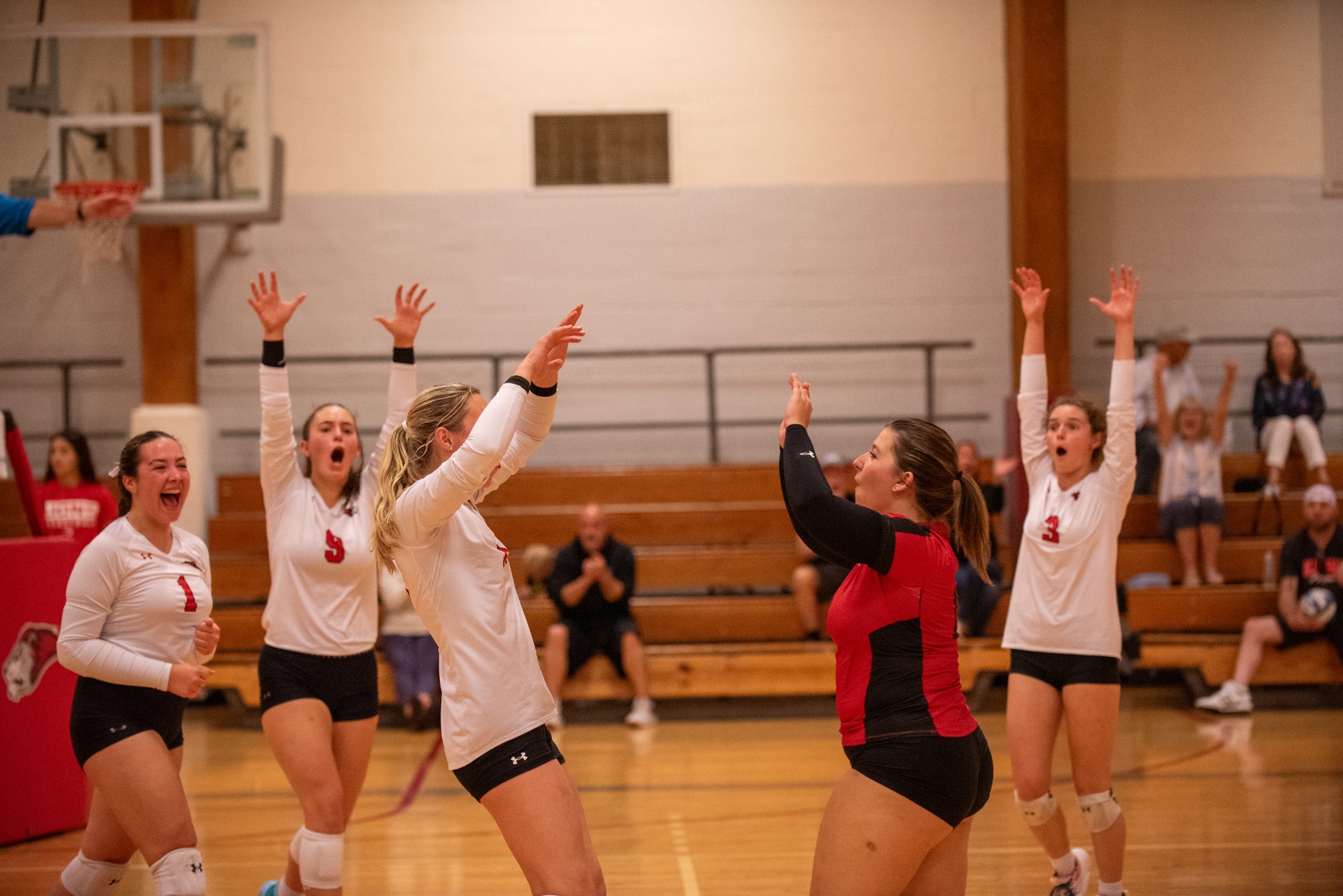 Lady Lions Volleyball go down roaring