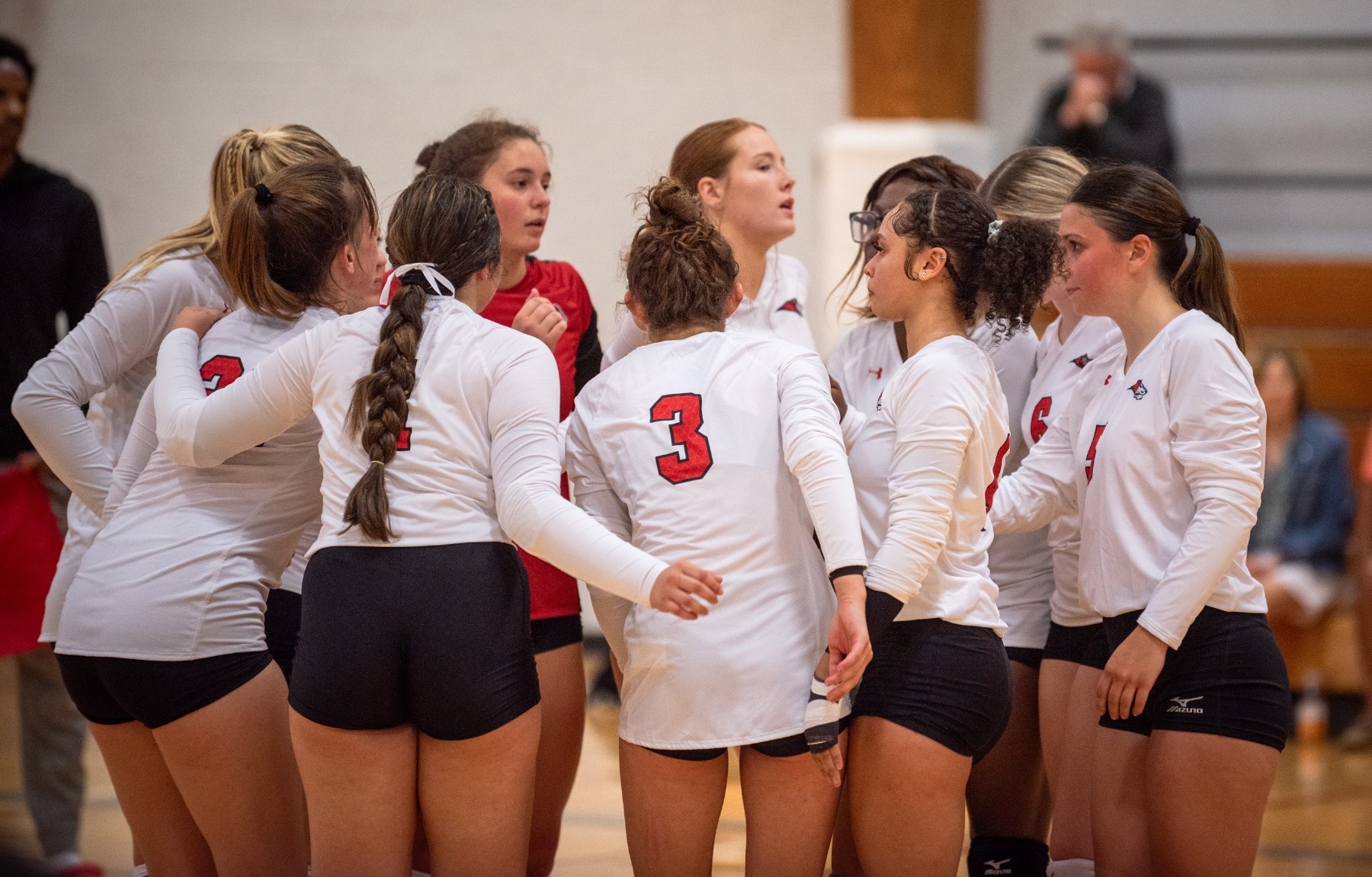 Lady Lions lose against Gwynedd Mercy