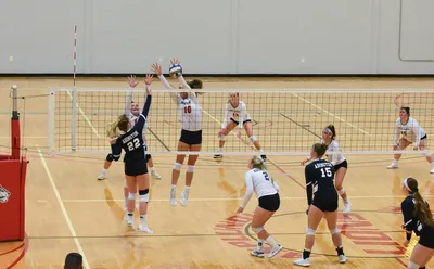 VB block