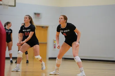 vb